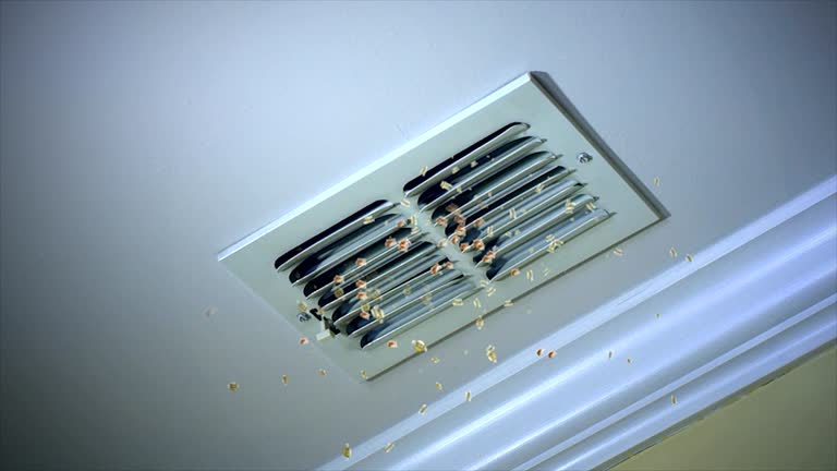 Best Air Duct Cleaning Near Me  in Erwin, TN
